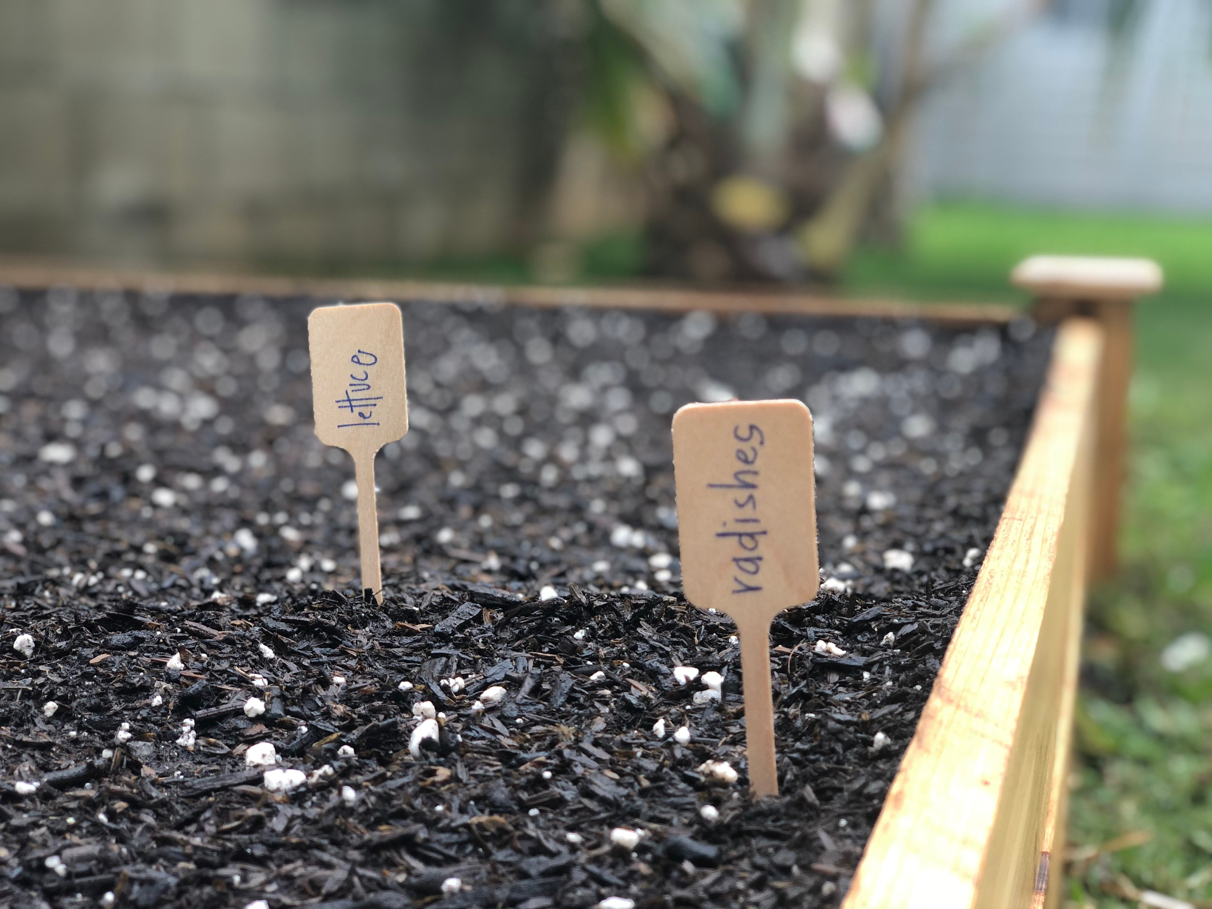 Gardening Beds