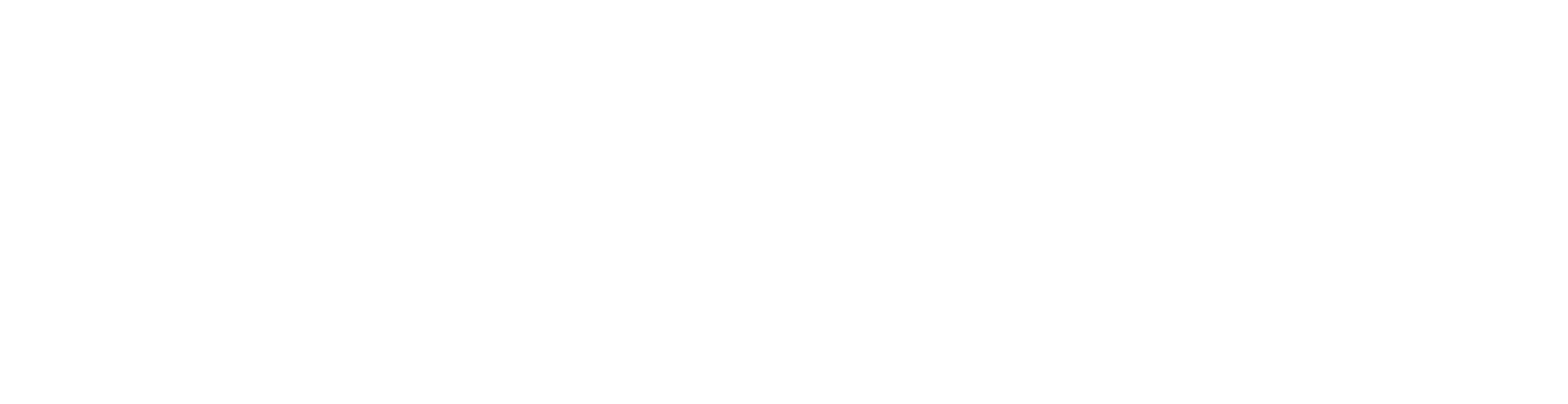 BZP_Logo_UNSTACKED_REVERSED