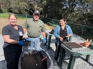 CVM - afternoon planting
