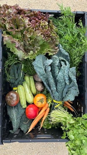 Double Up Food Buck Produce Box at Ord Terrace