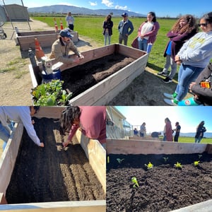 Garden Workshop #3