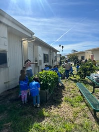 UP Garden Clean up