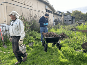 Wood Chip Donation